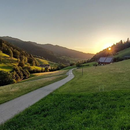 Irgendwo Im Schwarzwald Apartment Elzach Exterior photo